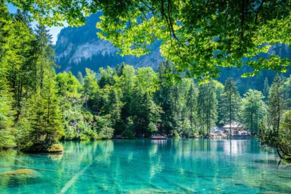 Bellevue & Classy Mountain View Apartment Kandersteg Εξωτερικό φωτογραφία